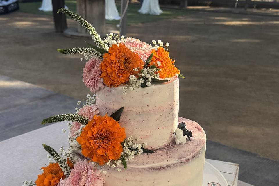Seminaked Cake.