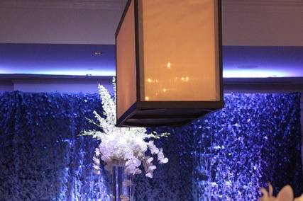 Stage Lighting, Pin Spot for flowers