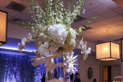 Stage Lighting, Pin Spot for flowers