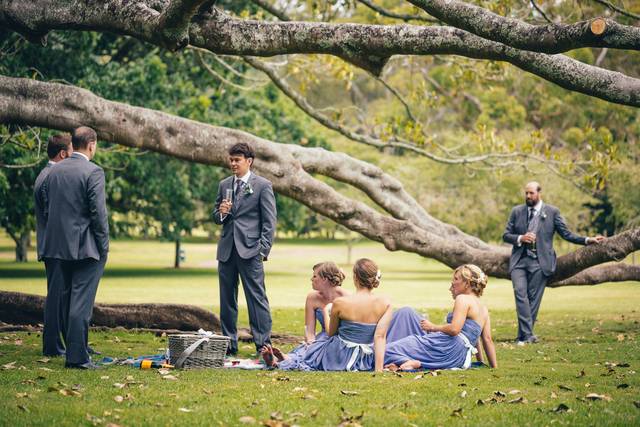 Wedding picnic experience
