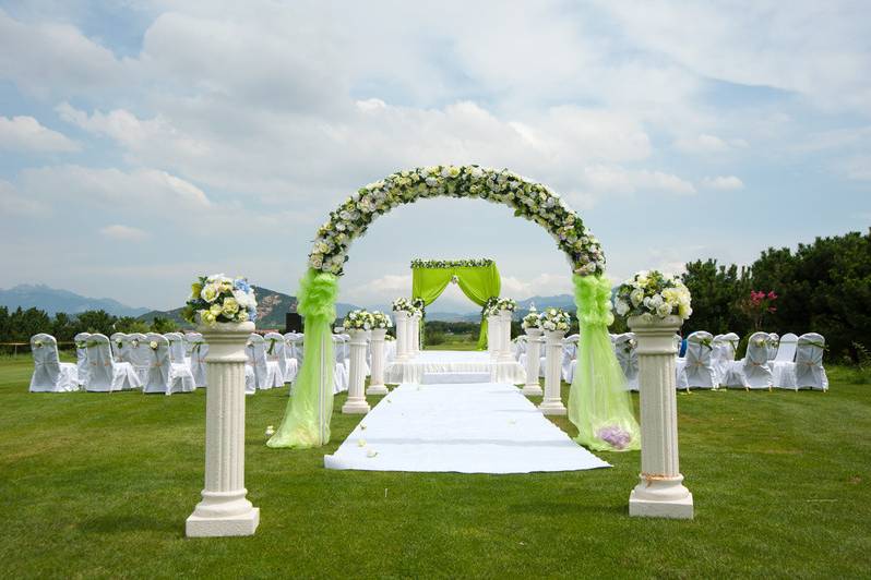 Entry and wedding arches