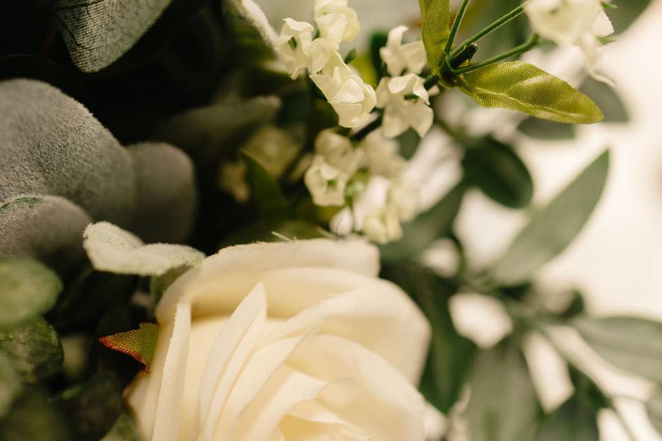 Photo: Drago Rose Photography