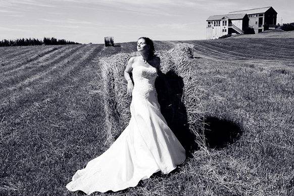 Glamorous bride in a field black-and-white