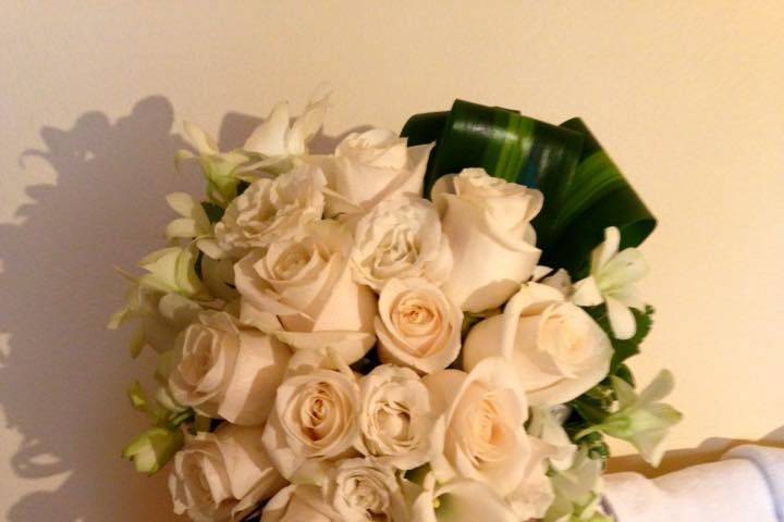 Big white roses
