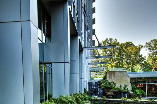 Outside koi pond landscape