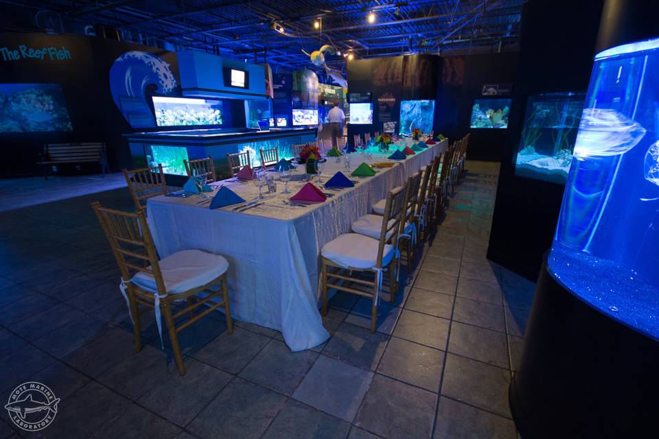 Indoor Aquarium Gallery dinner