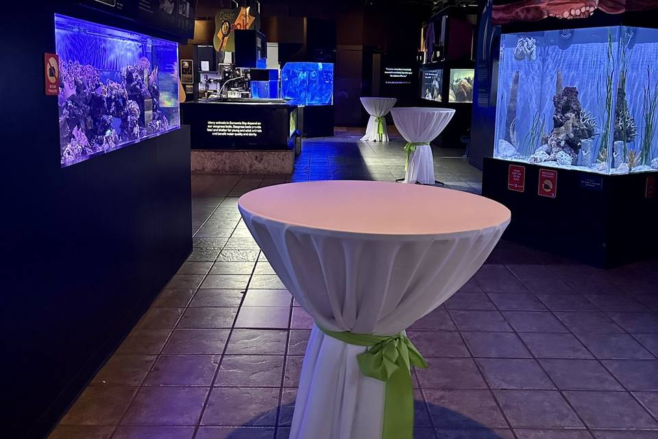 Cocktail Hour - Indoor Gallery
