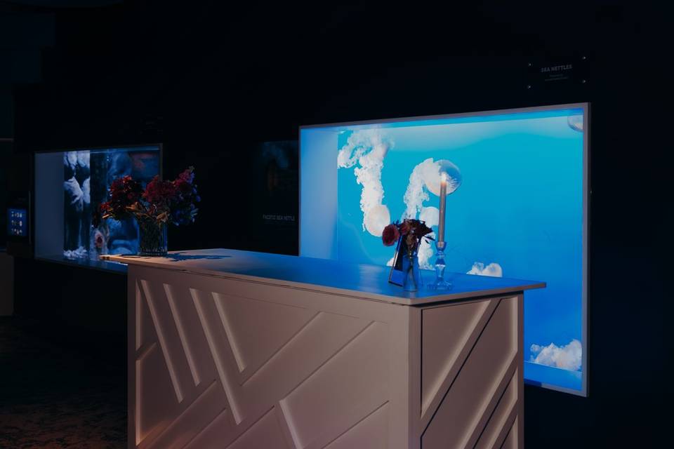 Indo Pacific Gallery