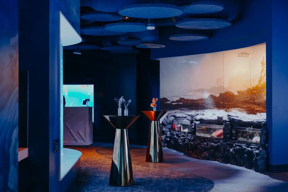 Indo Pacific Gallery