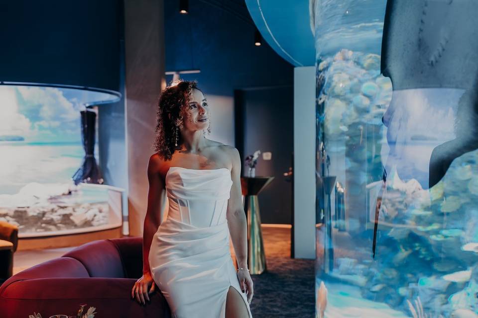 Indo Pacific Gallery