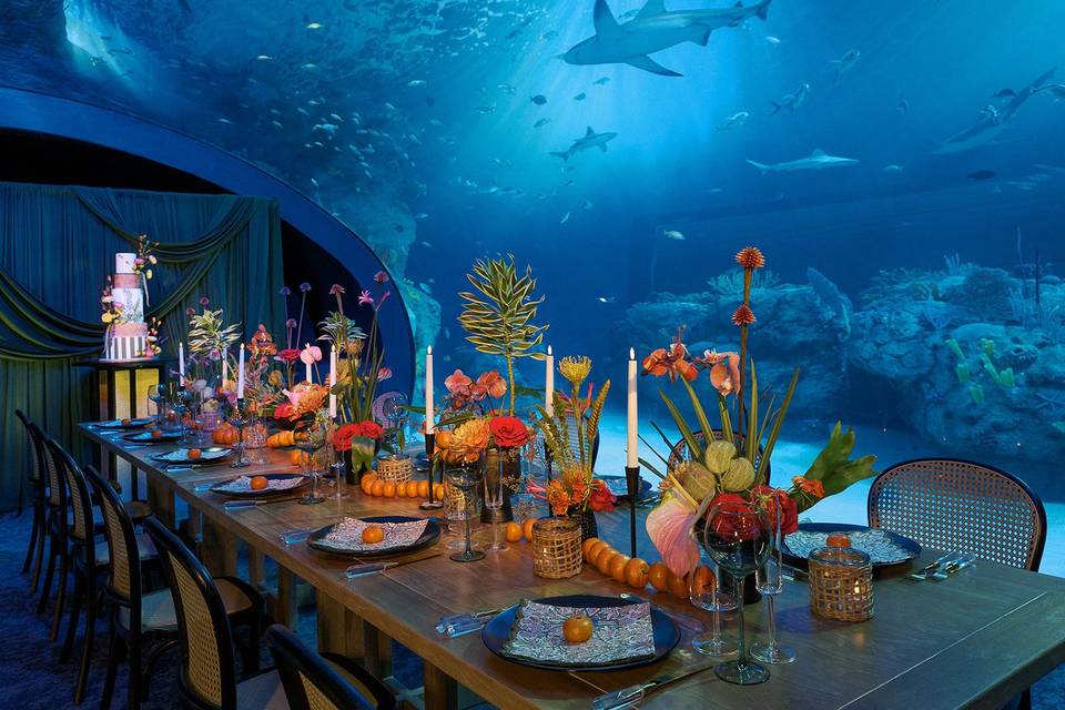 Florida's Gulf Coast Gallery