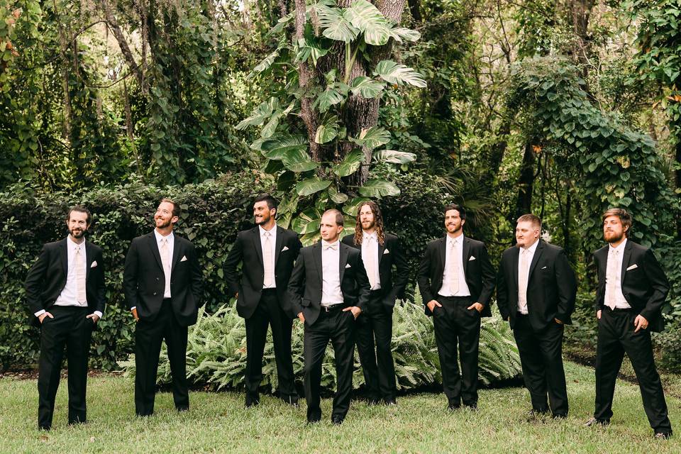 Blush Wedding