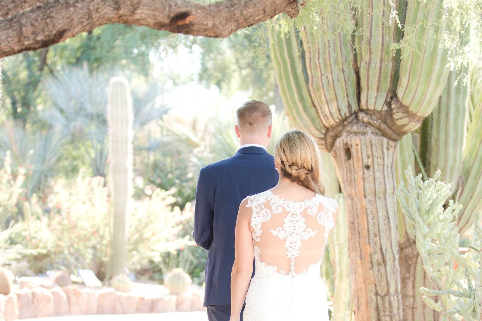 Desert Botanical Garden - Venue - Phoenix, AZ - WeddingWire