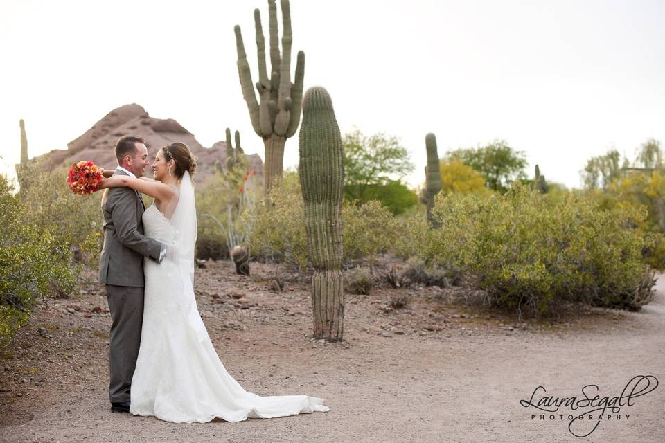 Desert Botanical Garden