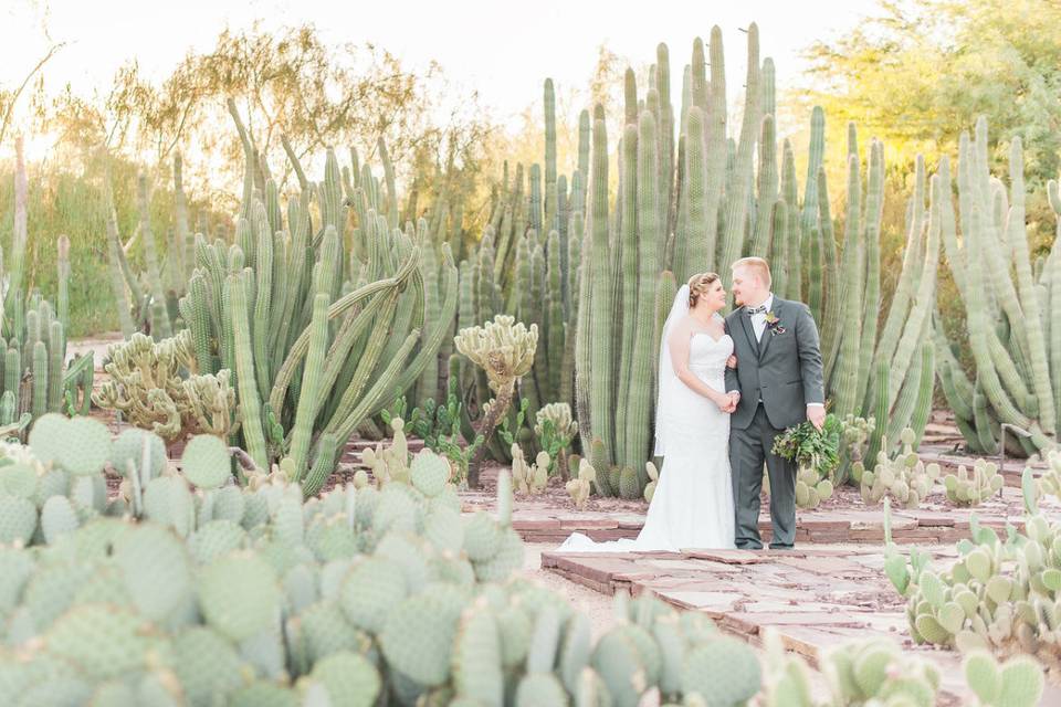 Desert Botanical Garden