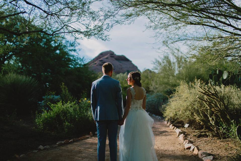 Desert Botanical Garden