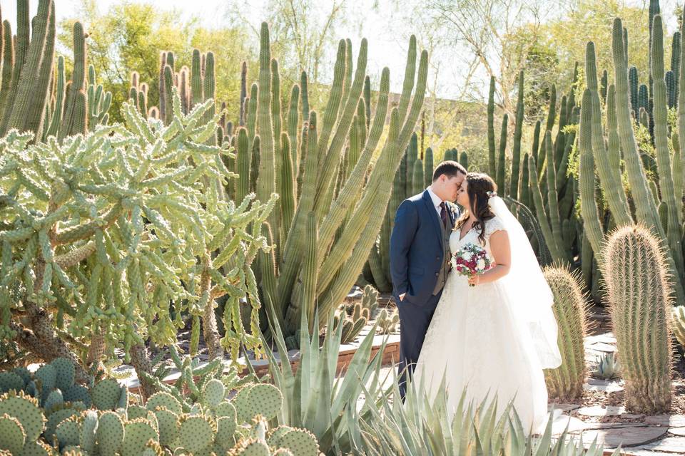 Desert Botanical Garden