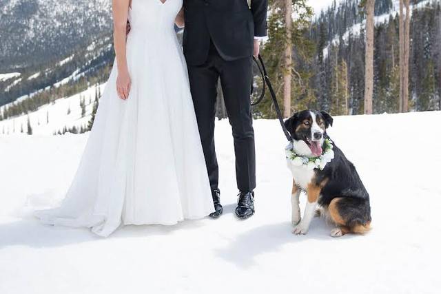 Winter Park Wedding Bell
