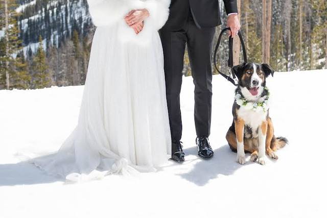 Winter Park Wedding Beau Bella