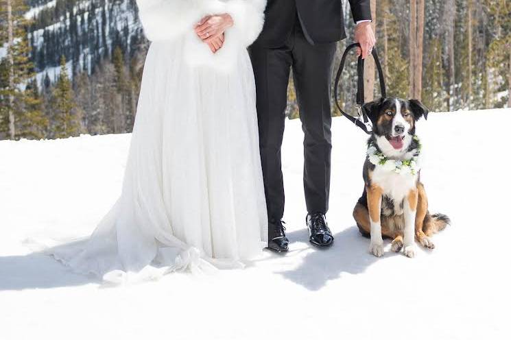 Winter Park Wedding Beau Bella
