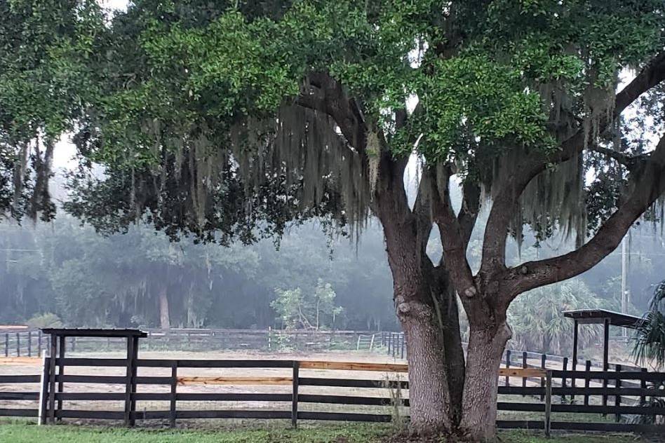 Lazy k ranch south