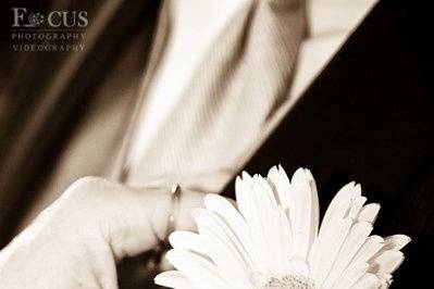 Focus Photography and Videography