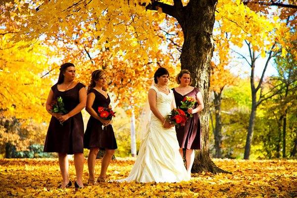 Focus Photography and Videography