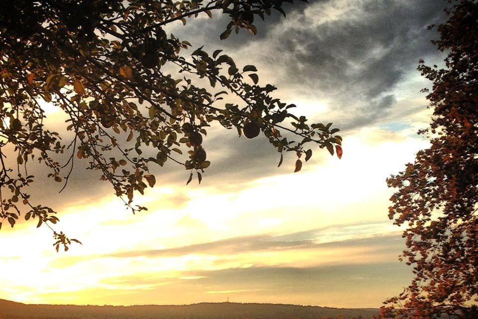 Lovely natural evening light