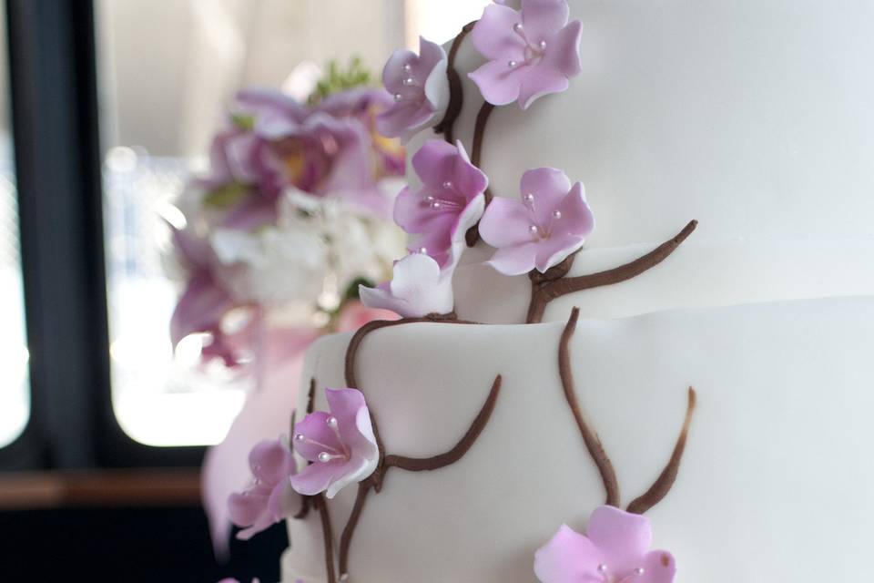 Cherry Moth Cake