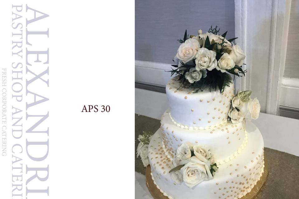 APS 30