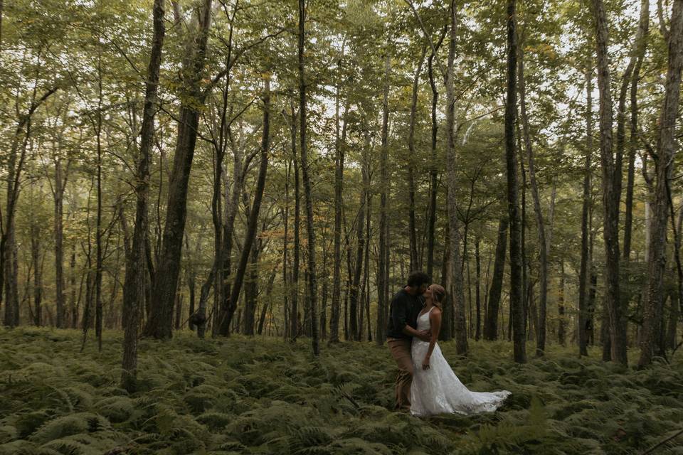 Cole Mountain Elopement