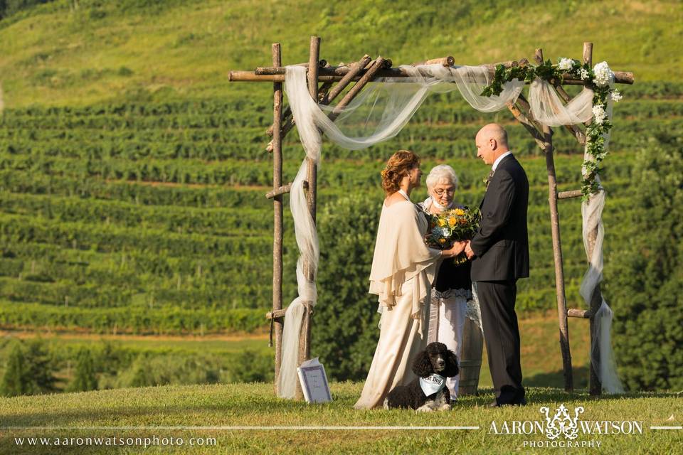 Beautiful Elopements and Creative Ceremonies