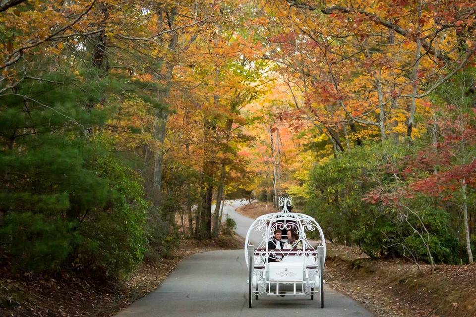 Just Married Ride