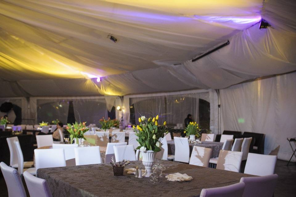 Tal Orion Event Management