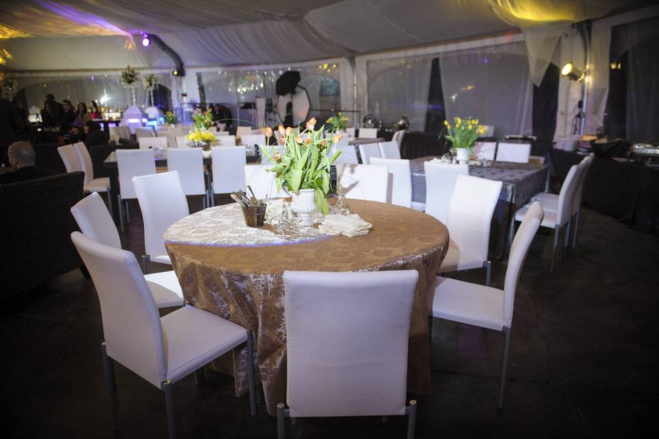 Tal Orion Event Management