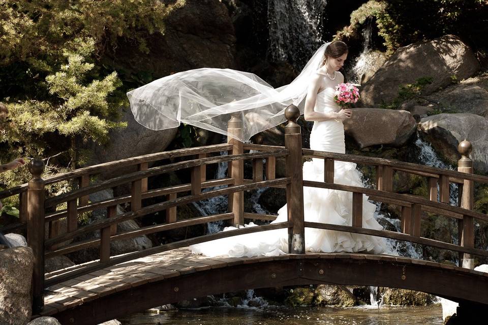 Bridge portrait