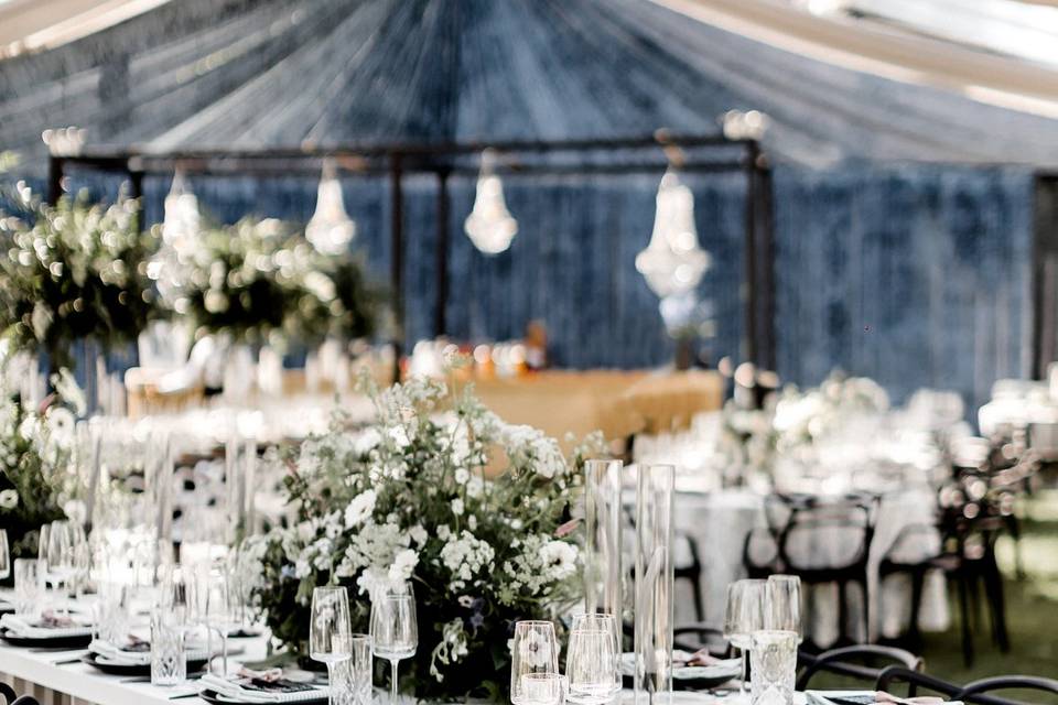 Black and White Reception