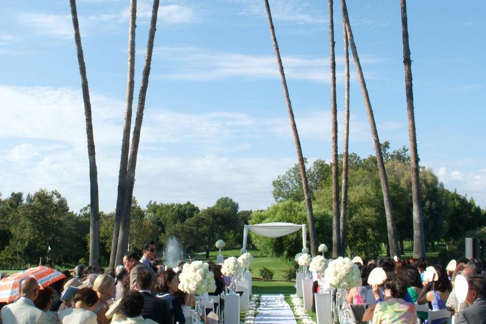 Palm Trees Wedding