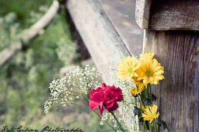 Kate Gibson Photography