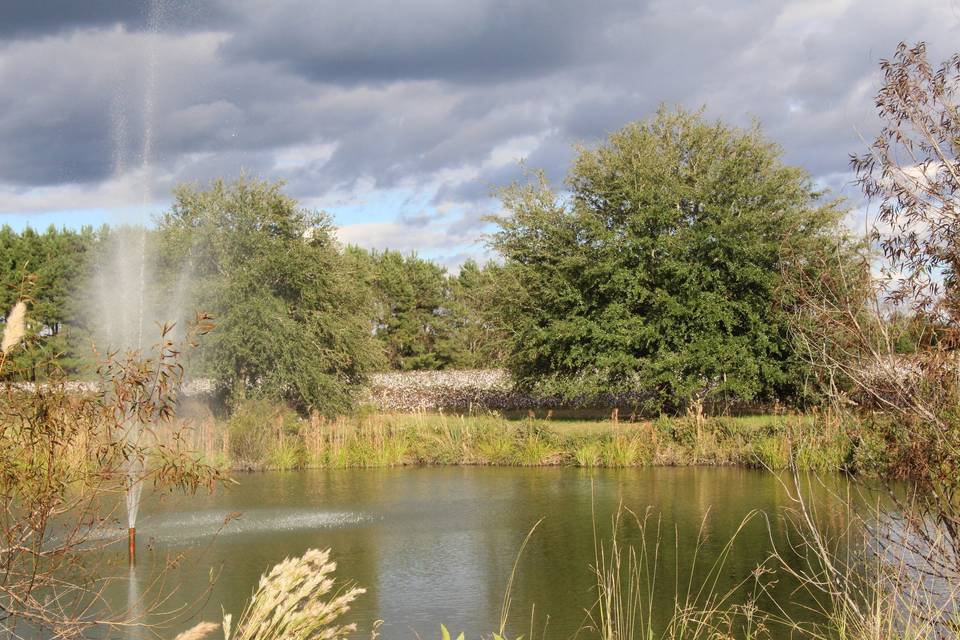 Pond with view of cottonfields