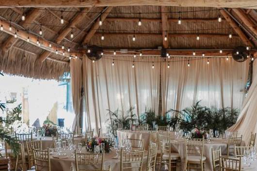 Tiki Reception
