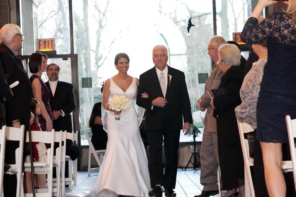 Here Comes the Bride...at the Bronx Zoo