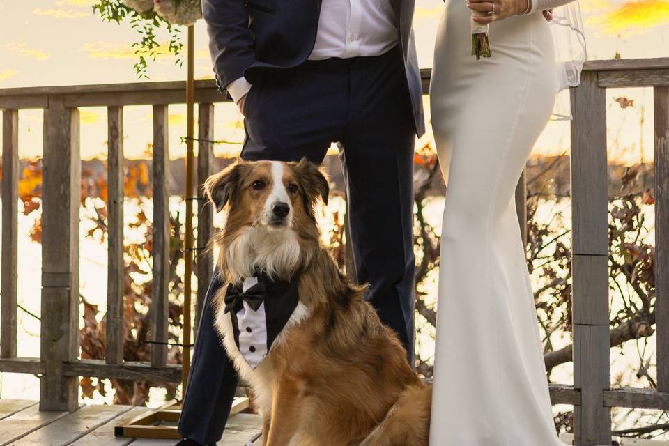 Couple's Portrait Session