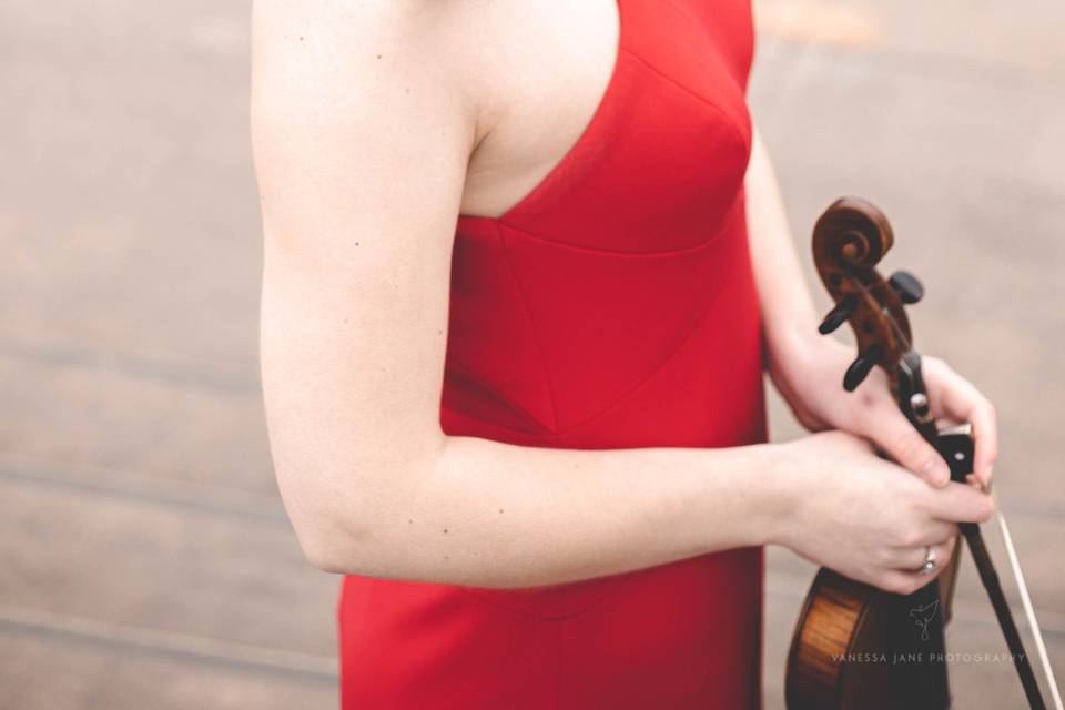 Wedding Violinist