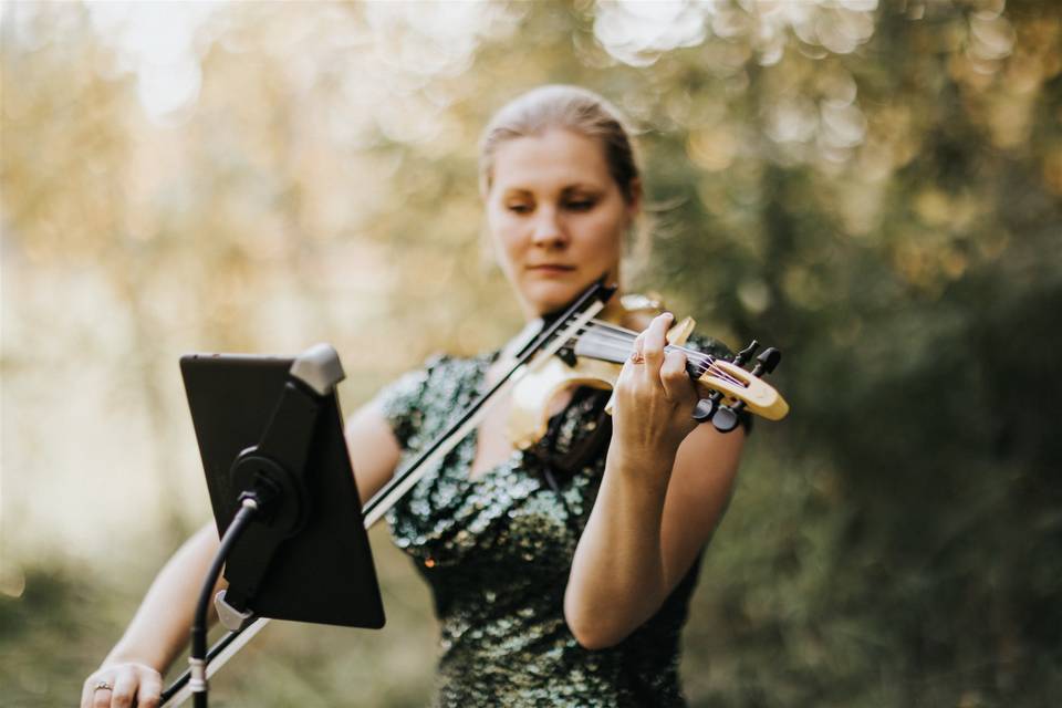 fiktion rookie salgsplan Christie Becker Violin - Ceremony Music - Belfair, WA - WeddingWire