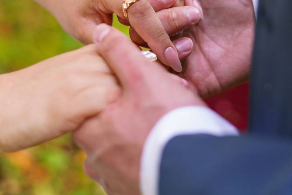 Maison Marie Weddings