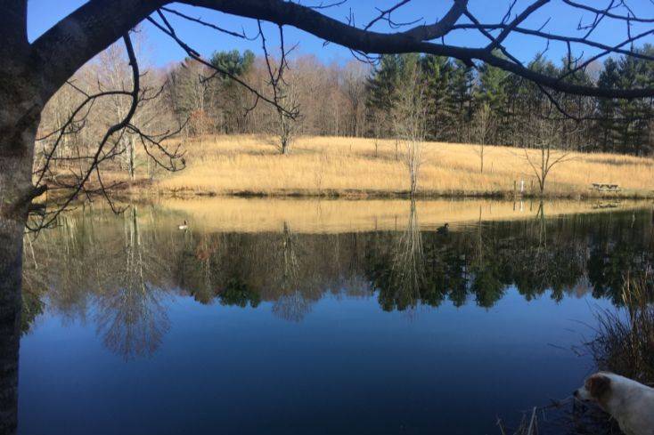 Beautiful outdoor spaces--trails through meadows, forests, by creeks and waterfalls-- for recreation and amazing photos.