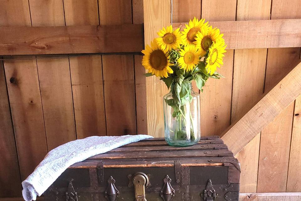 Sunflowers and an old trunk