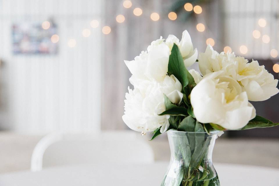 Megan Lentz Photography