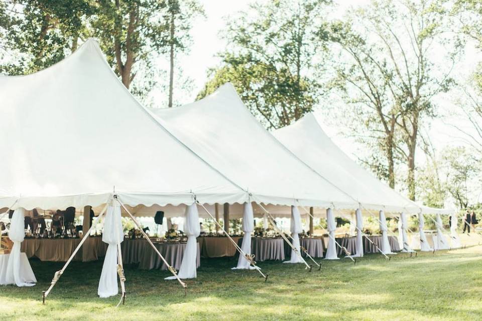 Reception tent setup